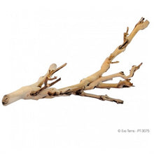 Bild im Galerie-Viewer laden, Rama FOREST BRANCH Exo-Terra (6748941385927)
