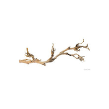 Bild im Galerie-Viewer laden, Rama FOREST BRANCH Exo-Terra (6748941385927)
