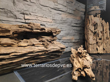 Bild im Galerie-Viewer laden, Drache Stamm
