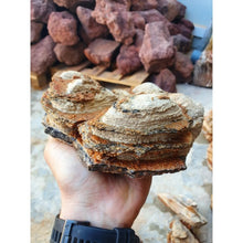 Bild im Galerie-Viewer laden, Naturstein - Multilayer Rot
