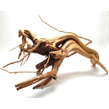 Bild im Galerie-Viewer laden, Wurzelast Spider Gold
